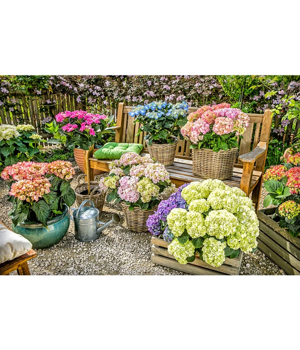 Blechgießkanne Für Den Garten 4 Blechgießkanne Für Den Garten – Bild 2