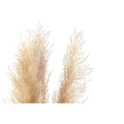 Trockenblumenbund Pampasgras, Natur 7 Trockenblumenbund Pampasgras, Natur -Angebote Biohort Store 6272595 WE DE 001 PampasgrasNatur145cm
