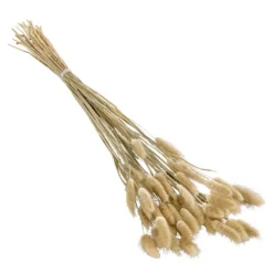 Trockenblumenbund Hasenschwanzgras, Natur