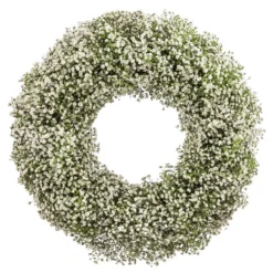 Dehner Kranz Schleierkraut, Weiß, Ca. Ø36 Cm