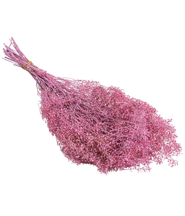 Trockenblumenbund Lupidium, Hellrosa 3 Trockenblumenbund Lupidium, Hellrosa