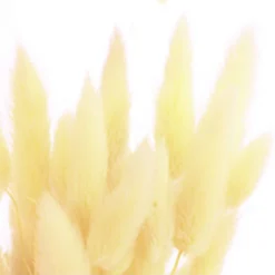 Trockenblumenbund Hasenschwanzgras, Gebleicht -Angebote Biohort Store 6284087 PR DE 002 HasenschwanzgrasgebleichtBundDehnerExpressHerzig