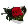 Dehner Herzschale Mit Longlife-Rose Aneta, Ca. B8/H5 Cm 1 Dehner Herzschale Mit Longlife-Rose Aneta, Ca. B8/H5 Cm -Angebote Biohort Store 6380919 WE FS 003 LonglifeRoseHerzAnetaROT