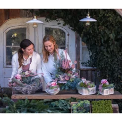 Grabgesteck Im Himmel, Rund, Ca. Ø20/H20 Cm -Angebote Biohort Store 6462816 6462808 WE MO 001 SerieImHimmel Allerheiligen2023 1