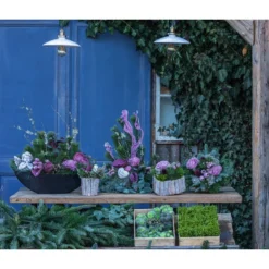 Grabgesteck Unvergessen, Ca. B60/H60/T40 Cm 7 Grabgesteck Unvergessen, Ca. B60/H60/T40 Cm -Angebote Biohort Store 6462931 WE MO 001 SerieUnvergessenPremiumAllerheiligen2023 2