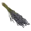 Trockenblumenbund Lavendel -Angebote Biohort Store 6491682 PR FS 001 LavendeltiefblauBund DehnerExpressHerzig