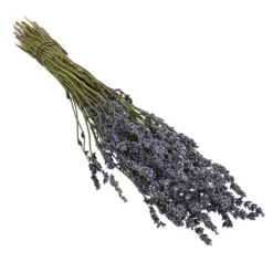 Trockenblumenbund Lavendel