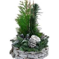 Grabgesteck In Rinden-Schale, Rund, Weiß, Ca. Ø30/H45 Cm