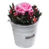 Dehner Arrangement Mit Longlife-Rose Ida, Rosa, Ca. Ø7,5/H15 Cm -Angebote Biohort Store 6536858 WE FS 002 LLArrangIdaRosa
