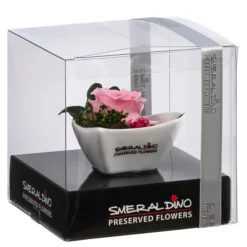 Dehner Herzschale Mit Longlife-Rose Aneta, Rosa, Ca. B7/H5 Cm 6 Dehner Herzschale Mit Longlife-Rose Aneta, Rosa, Ca. B7/H5 Cm -Angebote Biohort Store 6537641 WE FS 001 LL HerzAnetaROSA