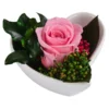 Dehner Herzschale Mit Longlife-Rose Aneta, Rosa, Ca. B7/H5 Cm -Angebote Biohort Store 6537641 WE FS 002 LL HerzAnetaROSA