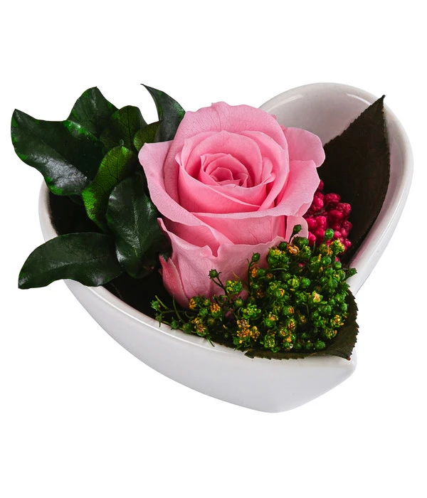 Dehner Herzschale Mit Longlife-Rose Aneta, Rosa, Ca. B7/H5 Cm 3 Dehner Herzschale Mit Longlife-Rose Aneta, Rosa, Ca. B7/H5 Cm