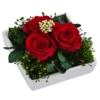 Dehner Keramik-Schale Mit Longlife-Rose Zina, Rot, Ca. B10/H7/T10 Cm -Angebote Biohort Store 6537658 WE FS 002 LLSchaleZinaROT