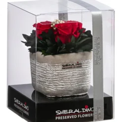 Angebote Biohort Store 33 Angebote Biohort Store -Angebote Biohort Store 6537674 WE FS 001 LL InaLightRot