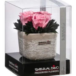 Dehner Arrangement Mit Longlife-Rose Ina Light, Rosa, Ca. B8/H10/T8 Cm 5 Dehner Arrangement Mit Longlife-Rose Ina Light, Rosa, Ca. B8/H10/T8 Cm -Angebote Biohort Store 6537682 WE FS 001 LL InaLightRosa