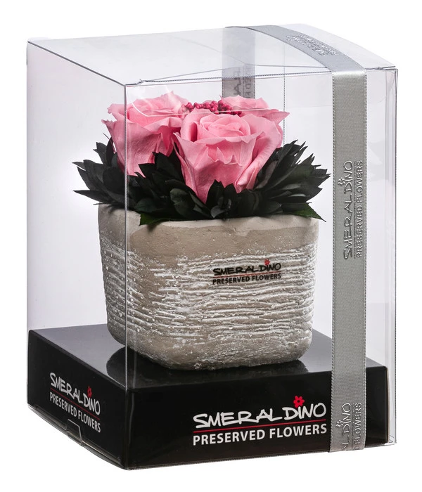 Dehner Arrangement Mit Longlife-Rose Ina Light, Rosa, Ca. B8/H10/T8 Cm 4 Dehner Arrangement Mit Longlife-Rose Ina Light, Rosa, Ca. B8/H10/T8 Cm – Bild 2