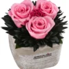 Dehner Arrangement Mit Longlife-Rose Ina Light, Rosa, Ca. B8/H10/T8 Cm -Angebote Biohort Store 6537682 WE FS 002 LL InaLightRosa