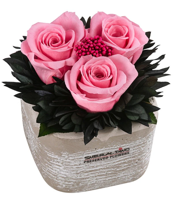 Dehner Arrangement Mit Longlife-Rose Ina Light, Rosa, Ca. B8/H10/T8 Cm 3 Dehner Arrangement Mit Longlife-Rose Ina Light, Rosa, Ca. B8/H10/T8 Cm