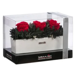 Angebote Biohort Store -Angebote Biohort Store 6537724 WE FS 001 LL Arrang ElenROT