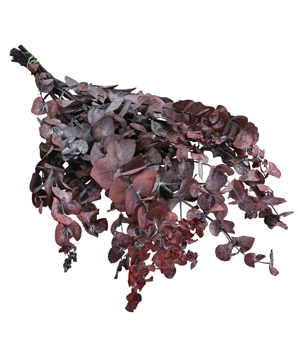 Trockenblumenbund Eukalyptus, Dunkelrot 3 Trockenblumenbund Eukalyptus, Dunkelrot
