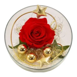 Longlife-Rose, Ca. Ø3 Cm -Angebote Biohort Store 6592539 WE FS 001 LongLifeRoseRotinGlaskugel