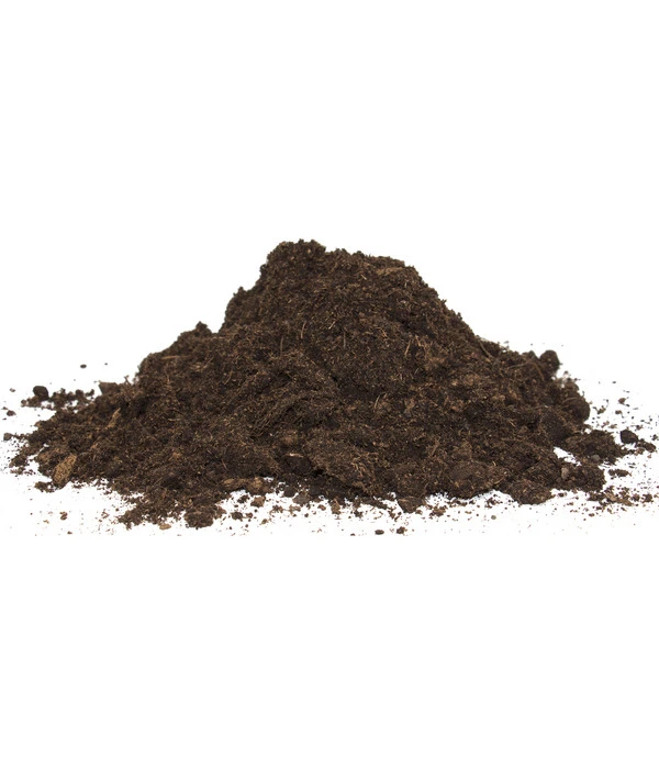 Floragard Aktiv Grünpflanzen- Und Palmenerde Box, 60 L 4 Floragard Aktiv Grünpflanzen- Und Palmenerde Box, 60 L – Bild 2