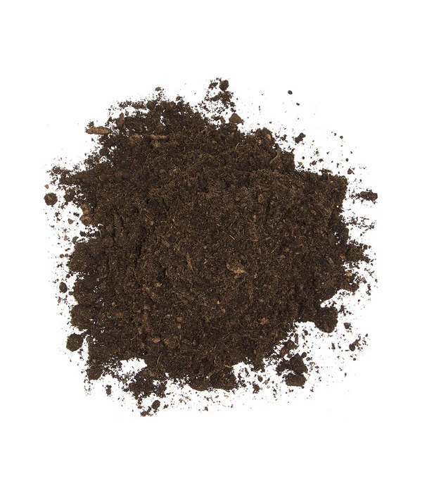 Floragard Aktiv Grünpflanzen- Und Palmenerde Box, 60 L 6 Floragard Aktiv Grünpflanzen- Und Palmenerde Box, 60 L – Bild 4