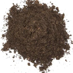 Floragard Schildkrötensubstrat 8 Floragard Schildkrötensubstrat -Angebote Biohort Store 6624613 WE DE 001 FloragardSchildkroetensubstrat