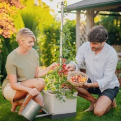 Gusta Garden Tomatentopf Tom Tomato, Ca. B35/H135/T28 Cm -Angebote Biohort Store 6627053 WE MO 001 TomTomatoTomatenanbau