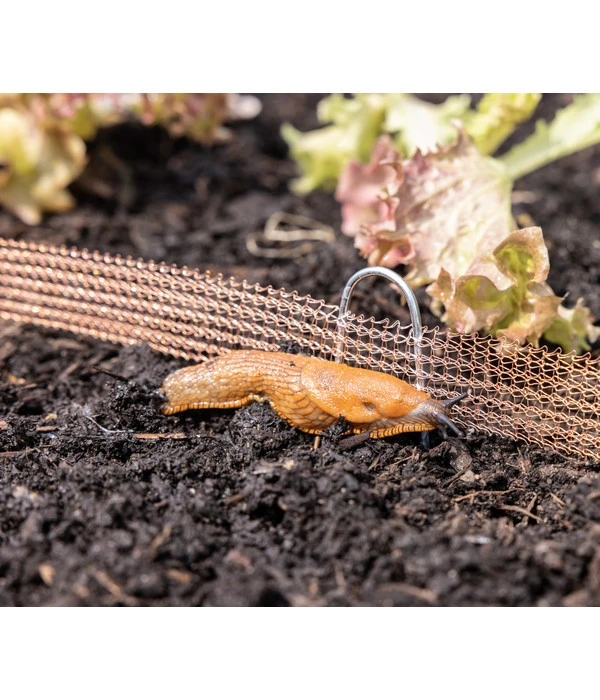 Windhager Schneckenzaun, Ca. L8 M 8 Windhager Schneckenzaun, Ca. L8 M – Bild 6