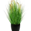 Dehner Kunstpflanze Borstenhirse, 68 Cm -Angebote Biohort Store 6712160 WE FS 001 Borstenhirsegetopft68cm