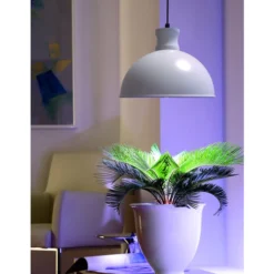 Bio Green Pflanzenleuchte Flora-Booster 500 11 Bio Green Pflanzenleuchte Flora-Booster 500 -Angebote Biohort Store 6731608 WE MO 001 BioGreenPflanzenleuchteFlora Booster500Weiss