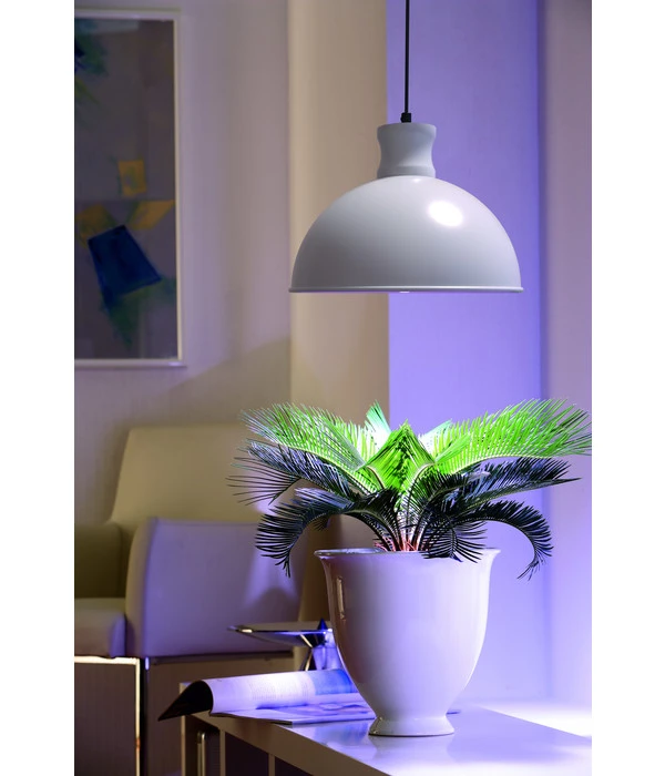 Bio Green Pflanzenleuchte Flora-Booster 500 7 Bio Green Pflanzenleuchte Flora-Booster 500 – Bild 5