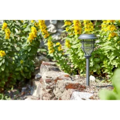 Smart Garden Pfahlleuchte Capri, Ca. B14/H48,5/T14 Cm 11 Smart Garden Pfahlleuchte Capri, Ca. B14/H48,5/T14 Cm -Angebote Biohort Store 6758379 WE MO 003 CapriPfahlleuchteSolardeko