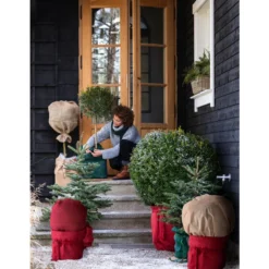 Dehner Pflanzen-Isolierfolie 12 Dehner Pflanzen-Isolierfolie -Angebote Biohort Store 6798813 WE MO 002 DehnerWinterschutzVliesRot