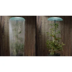 KHW Tomatenhut -Angebote Biohort Store 6818819 WE DE 001 Tomatenhut 2erSet