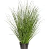 Gasper Kunstpflanze Grasbusch -Angebote Biohort Store 6934848 WE FS 001 GrasbuschH110cm