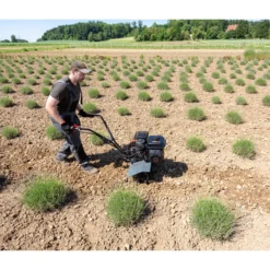 AL-KO Benzin-Motorhacke MH 540 -Angebote Biohort Store 6943245 WE MO 003 MotorhackeMH540