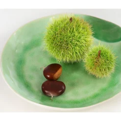 Esskastanie -Angebote Biohort Store 7091580 PR DE 002 CastaneaSativaEsskastanieDehnerExpressHerzig