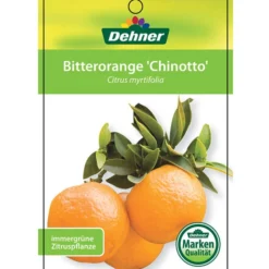 Bitterorange 'Chinotto' -Angebote Biohort Store 7119803 BitterorangeChinottoEtikett1
