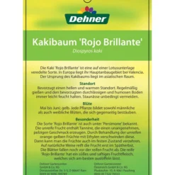 Dehner Kaki 'Rojo Brillante' - Kaki-Pflaume 'Rojo Brillante' 15 Dehner Kaki 'Rojo Brillante' - Kaki-Pflaume 'Rojo Brillante' -Angebote Biohort Store 7167414 KakiRojoBrillante Etikett 2