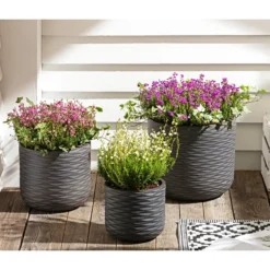 Graue Glockenheide, Verschiedene Farben 19 Graue Glockenheide, Verschiedene Farben -Angebote Biohort Store 7172521 WE MO 002 EricaCinereaGrauheide