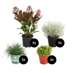 Grabpflanzen-Set Würdevoll, 12-teilig