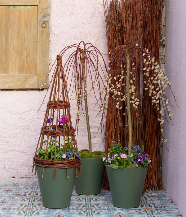 Dehner Weiden-Pflanzpyramide, Ca. H80 Cm 4 Dehner Weiden-Pflanzpyramide, Ca. H80 Cm – Bild 2