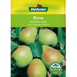 Winterbirne 'Alexander Lucas' 12 Winterbirne 'Alexander Lucas' -Angebote Biohort Store 7602709 BirneAlexanderLucas Etikett 1