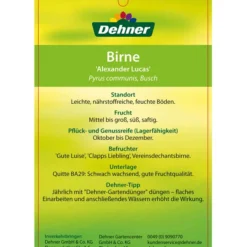 Winterbirne 'Alexander Lucas' 13 Winterbirne 'Alexander Lucas' -Angebote Biohort Store 7602709 BirneAlexanderLucas Etikett 2