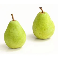 Winterbirne 'Alexander Lucas' 10 Winterbirne 'Alexander Lucas' -Angebote Biohort Store 7602709 WE DE 007 BirneAlexanderLucasDehnerExpressHerzig