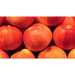 Dehner Zwergapfel 'Croquella' 6 Dehner Zwergapfel 'Croquella' -Angebote Biohort Store 7621865 WE MO 001 ZergapfelCroquellaPixabay