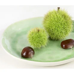 Esskastanie 'Bouche De Betizac' -Angebote Biohort Store 7621998 PR DE 002 CastaneaSativaBetizacEsskastanieDehnerExpressHerzig