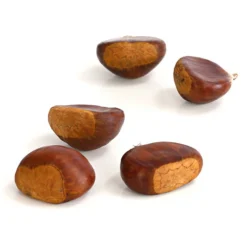 Esskastanie 'Bouche De Betizac' -Angebote Biohort Store 7621998 WE DE 003 EsskastanieMaroneCastaneaSativaDehnerExpressHerzig